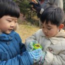 강남구청어린이집 이미지