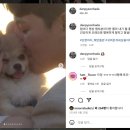 제주하다 | 제주스냅 단편하다 내돈내산 후기 (애견동반) 제주스냅추천