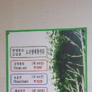 정선생지압안마원 이미지