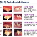 이서동물병원 이미지