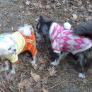 산책가는길 이미지