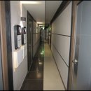 나무늘보호텔 이미지