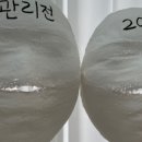 나이쁨(Na이쁨) 네이버블로그