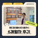 서울연치과의원 | 메디컴 앰버서더 클리닉 6개월차 후기 ┃노원연세리안치과의원