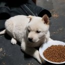 용소골농장 이미지