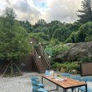 콜라니티다 이미지