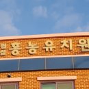 홍농유치원 이미지