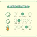 두리조경 이미지