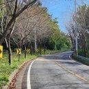 행암로314번길 이미지