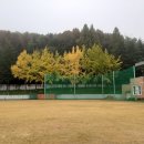 세지중학교 | 재밌게 배우는 코딩교육 #진로체험 #체험활동​ #코딩교육​ #인성교육 #소바세교육연구소