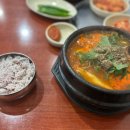 제주본토박이 이미지