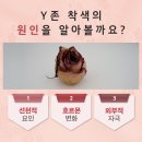 와이니즈 이미지