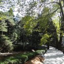 황룡산장 이미지