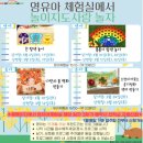 회기어린이집 | 용인 육아종합지원센터 영아놀이체험실 상현점 후기 | 20개월·35개월 아이들과 다녀온 솔직 후기