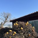 정원이 아름다운 집 | 김해 장유 양식집 : 카사벨라 (아름다운 민간정원 30선)