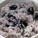 콩밥밥 이미지
