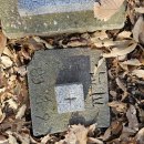 아랫배랭이 이미지