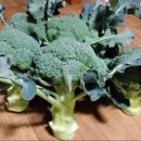 환의농장 이미지