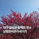 대곡3길 | 대구 달성군 봄나들이 하기 좋은 홍매화 명소 남평문씨본리세거지