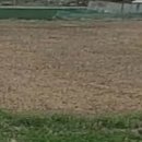 수목부동산중개사무소 이미지