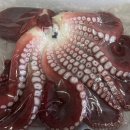 바다킹수산 이미지