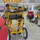 한국체대 꿈나무 태권도장 이미지