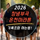 창녕스포츠파크 | 2026 창녕부곡온천마라톤 기록조회 하는법과 참여후기