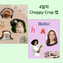 챌린지유도 | 2026년 첫 챌린지, 캔블업 3기 후기