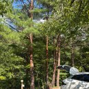 꿈꾸는 계곡 펜션 이미지