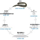 하모 이미지