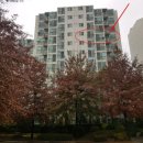 GS25화성반월점 이미지