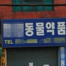 마이펫동물약국 이미지