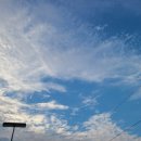 위즈덤하우스어학원 이미지