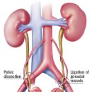 혜성산부인과병원 이미지
