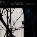 베이브(VAVE)