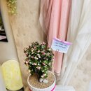 신월동211 이미지