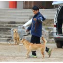 비상초등학교 이미지