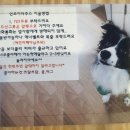 인조이더주스