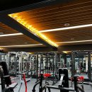 투엑스 휘트니스 이미지