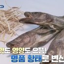 황태 밥상
