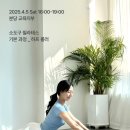 모던필라테스분당 네이버블로그