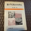 1975년 발간 "사카가미 쇼우이찌" 저 "나의 브라질에서의 꿀벌들" 이미지