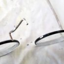 브릿지안경원 이미지