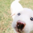 순박2농장 이미지