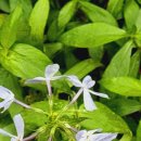 응봉공원1 이미지