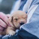 유동물병원 이미지