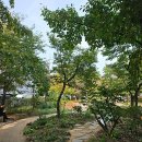 장안 근린공원 이미지