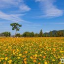 자연속의 휴식공간 이미지