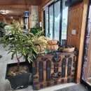 해와달 | 울산 주전 한정식 맛집 해와달 내돈내산 후기!