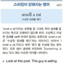 smell a rat (수상한 낌새를 채다) 이미지